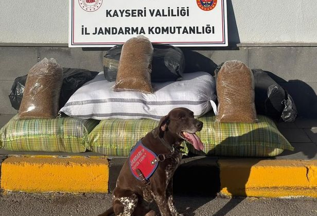 Yolcu otobüsünden 230 kilogram kaçak tütün çıktı