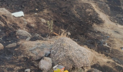 Maltepe'de havai fişek atarak yangın çıkaran zanlı tutuklandı