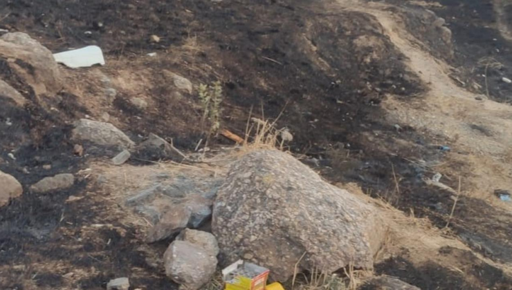 Maltepe'de havai fişek atarak yangın çıkaran zanlı tutuklandı