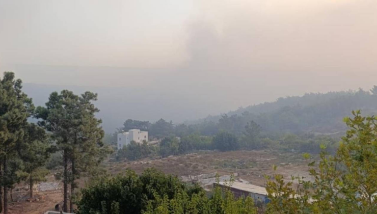 Mersin'in Silifke ilçesinde dün çıkan orman yangınına müdahale sürüyor (Video)