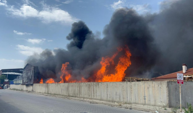 Eskişehir'de geri dönüşüm tesisinde yangın: Gökyüzü dumanla kaplandı