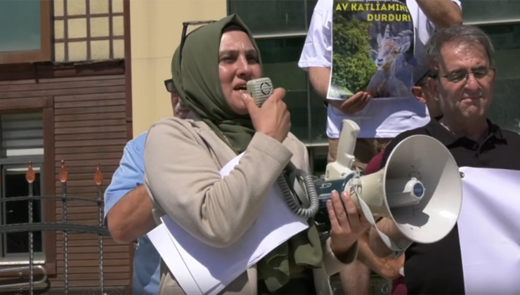 Bakanlık öldürülmeleri için ihale açtı, halk isyan etti