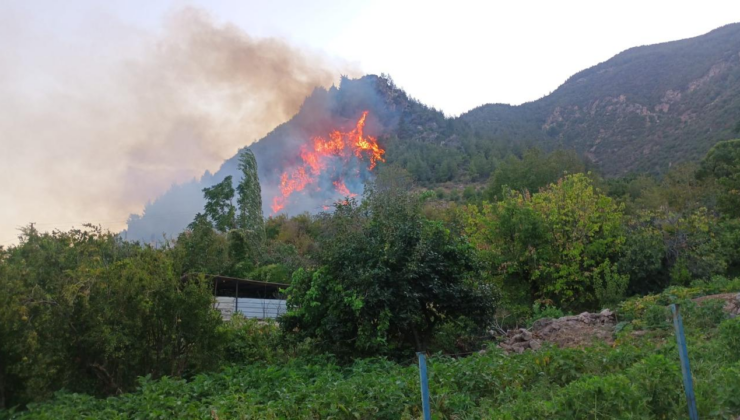 Hatay Kırıkhan'da orman yangını kontrol altına alındı