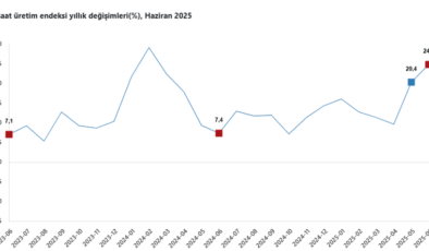 İnşaat üretiminde yıllık artış, yaklaşık 1,5 yılın zirvesinde