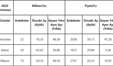 Veriler Antalya'dan: Domates ve sebzede tablo vahim