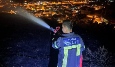 Hatay Antakya'da çıkan orman yangını kontrol altına alındı