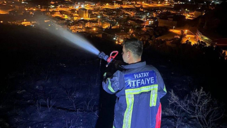 Hatay Antakya'da çıkan orman yangını kontrol altına alındı