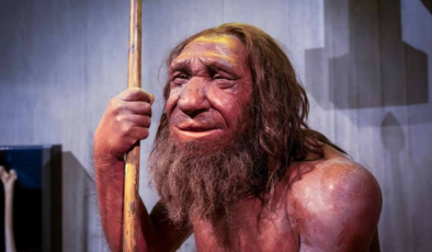 Neandertaller'in avladıkları devasa hayvanları bilinçli olarak çürümeye bırakmalarının nedeni nihayet ortaya çıktı