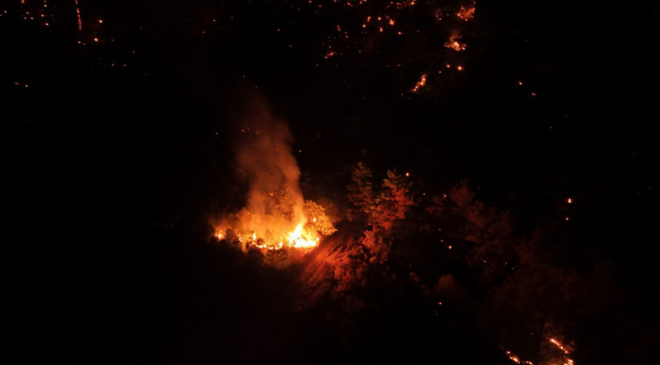 Çanakkale Bayramiç'te gece saatlerinde çıkan orman yangını kontrol altına alındı