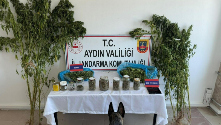 Nazilli’de uyuşturucu operasyonu: 1 tutuklama