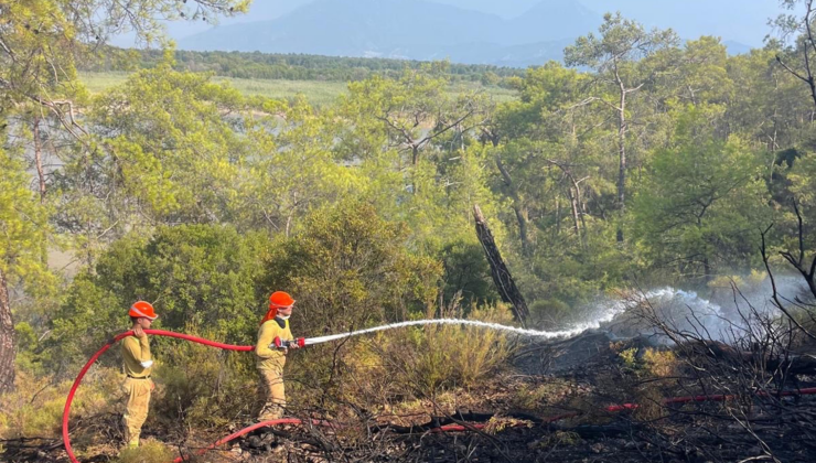 Fethiye’de orman yangını 2,5 saatte kontrol altına alındı