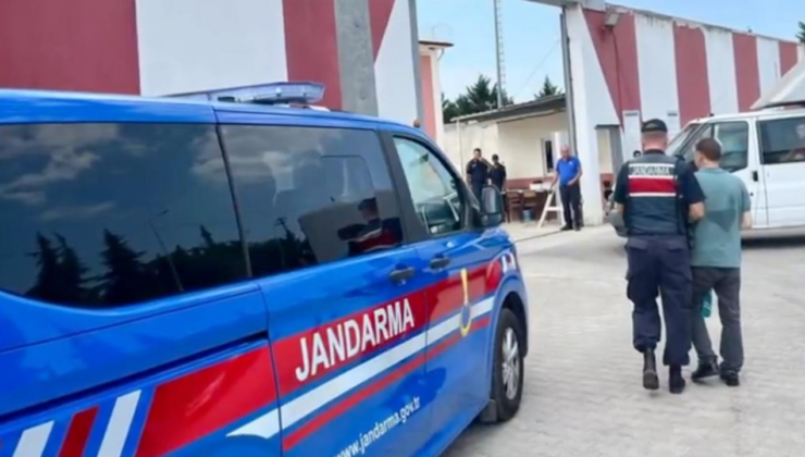 FETÖ'ye yönelik 29 ildeki operasyonlarda 49 şüpheli yakalandı