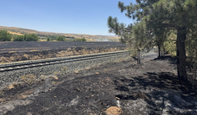 Elazığ'da anızda çıkan yangın ağaçlık alana sıçradı