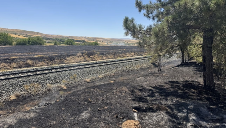 Elazığ'da anızda çıkan yangın ağaçlık alana sıçradı