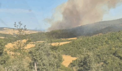 Çanakkale'deki orman yangınında 5 köy tahliye edildi