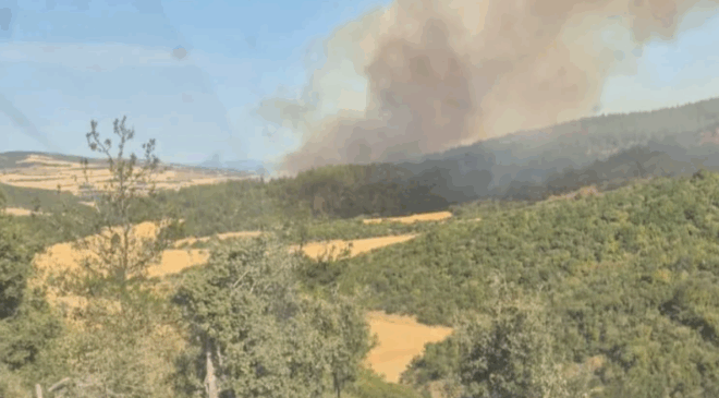 Çanakkale'deki orman yangınında 5 köy tahliye edildi