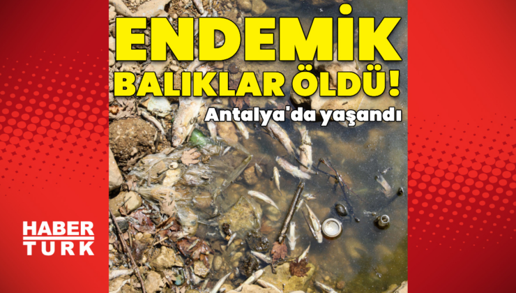 Su seviyesi düştü, endemik balıklar öldü!