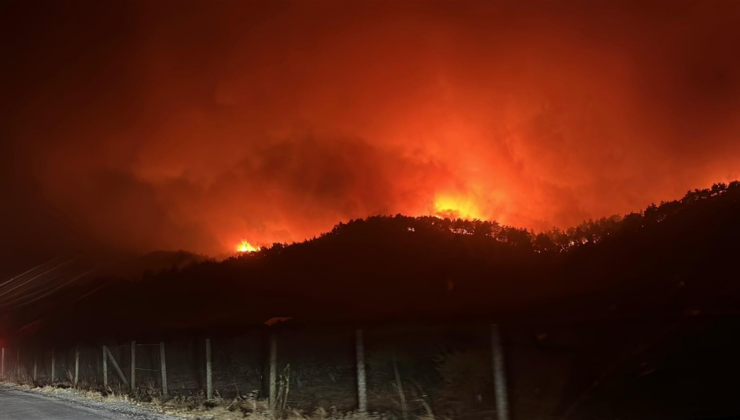 Son Dakika… Çanakkale'deki yangında tarihi alanlar kapatıldı