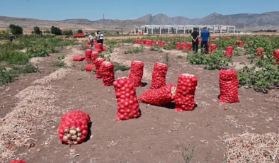 Satamadığı 7,5 ton patates ve soğanı lösemili çocuklar için bağışladı