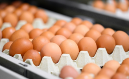 Market raflarındaki yumurtalar acilen geri çağrılıyor: Uzmanlar tek tek uyardı