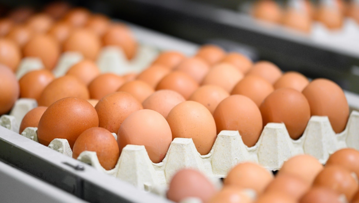 Market raflarındaki yumurtalar acilen geri çağrılıyor: Uzmanlar tek tek uyardı