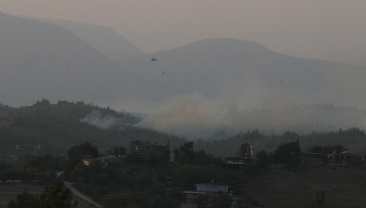 Adana'daki orman yangını kontrol altında