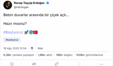 Cumhurbaşkanı Erdoğan Next Sosyal'e katıldı! 'Beton duvarlar arasında bir çiçek açtı'