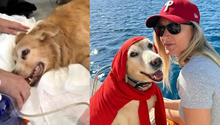 Müzisyen Kurtoğlu köpeğini öldüren sürücünün peşini bırakmıyor