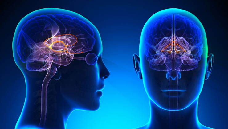 Bilim insanları açıkladı: Lityum, Alzheimer riskine karşı beyni koruyor