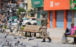 Güvercinlere yem atmak yasaklandı