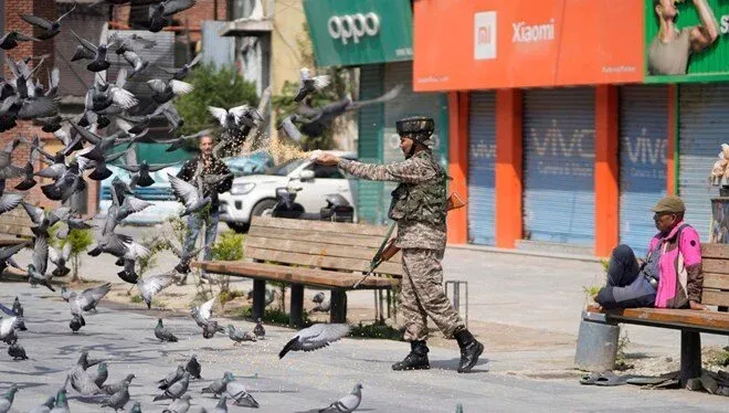 Güvercinlere yem atmak yasaklandı