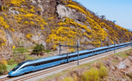 Güney Kore'de tren raydan çıktı: 2 ölü, 4 yaralı