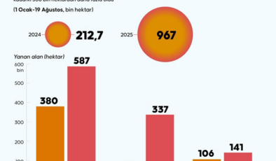 AB'de 2 haftada bu yılın toplamından daha fazla orman yandı