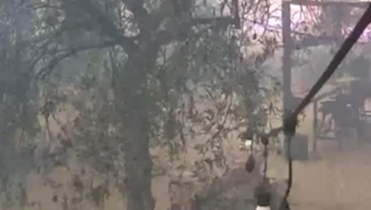 Çanakkale'deki orman yangınının ilerleme hızı güvenlik kamerasına yansıdı