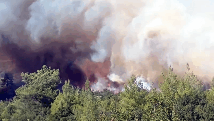 Muğla ormanları alev alev, tarlada yakılan anız ateşi ormana sıçradı