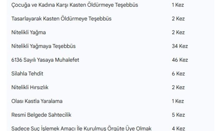 Daltonlar'ın suç tablosu! 105 şüpheli, 142 eylem!