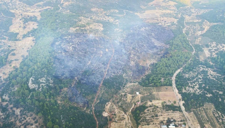Seydikemer’deki orman yangını kontrol altına alındı
