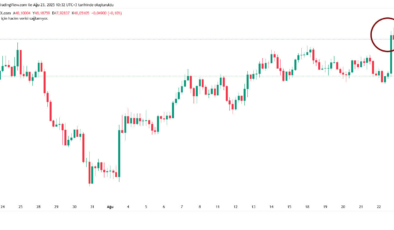 Euro/TL gece rekoru kırdı