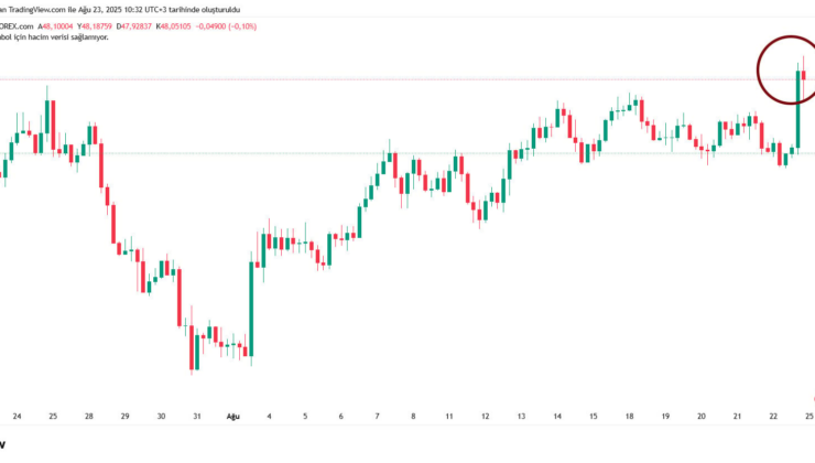 Euro/TL gece rekoru kırdı