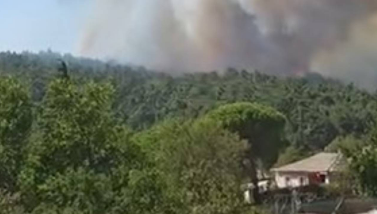 Malatya'da çıkan orman yangını kontrol altına alındı
