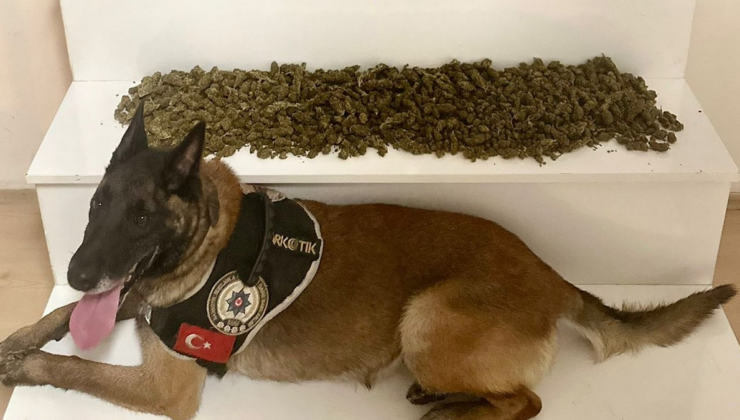 Balıkesir'de 2 ayrı uyuşturucu operasyonu