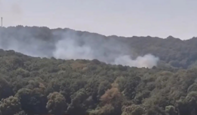 İstanbul'da korkutan orman yangını! Kısa sürede söndürüldü