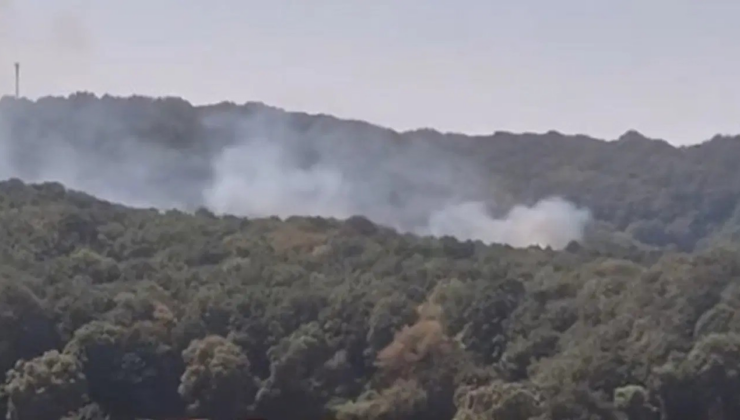 İstanbul'da korkutan orman yangını! Kısa sürede söndürüldü