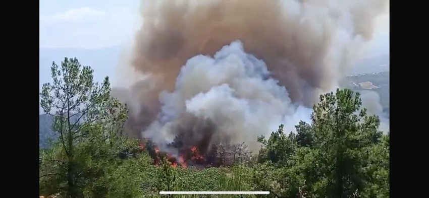 Bursa Osmangazi'de orman yangını (Video) - Resim : 4