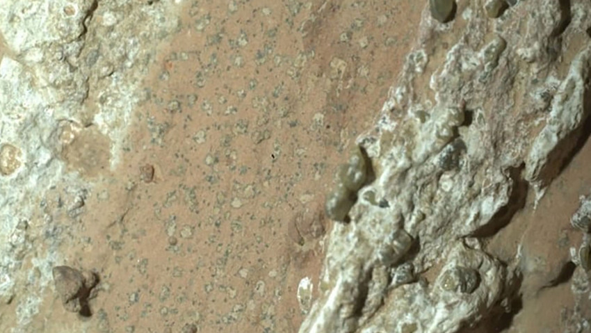 Nasa, Mars’ta en net yaşamı buldu! - Resim : 2