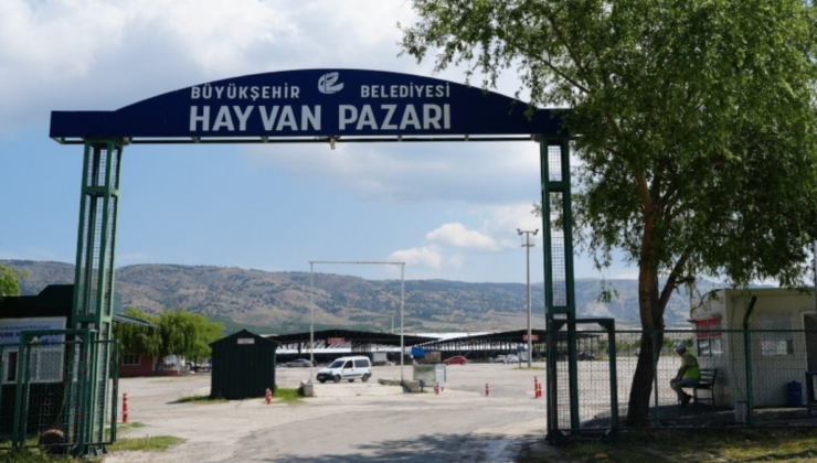 Belediye açıkladı: Şap hastalığı nedeniyle hayvan pazarı kapatıldı!