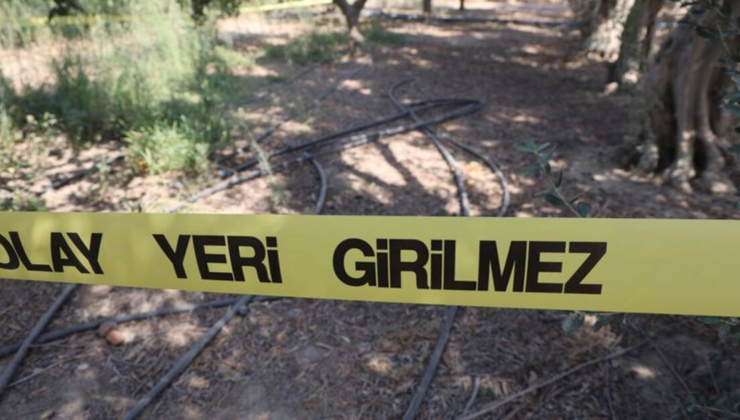 Narenciye bahçesinde satırlı cinayet!