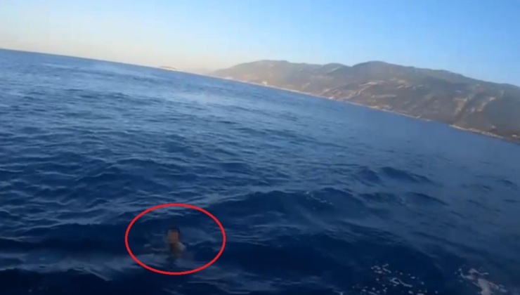 Antalya'da yüzerek yurt dışına kaçmaya çalışan hükümlü  böyle yakalandı