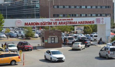 Mazıdağı’nda ceviz toplarken düşen muhtar hayatını kaybetti