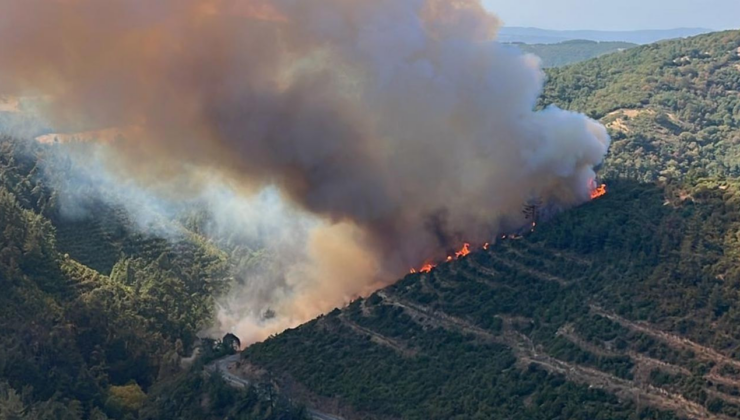 Balıkesir'de kaza yapan araç yangına neden oldu